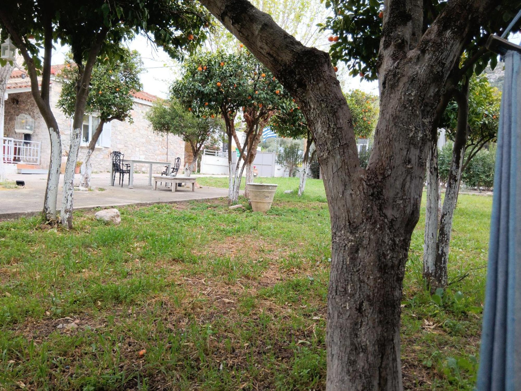 Άθοσ Villa Nafplio Bagian luar foto